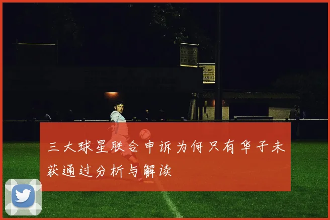 三大球星联合申诉为何只有华子未获通过分析与解读