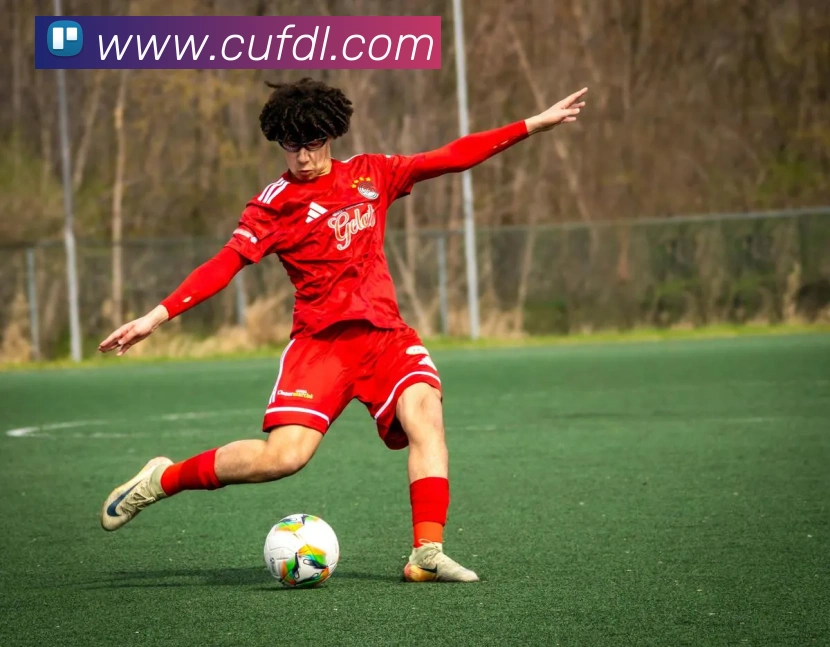 App Interface Preview