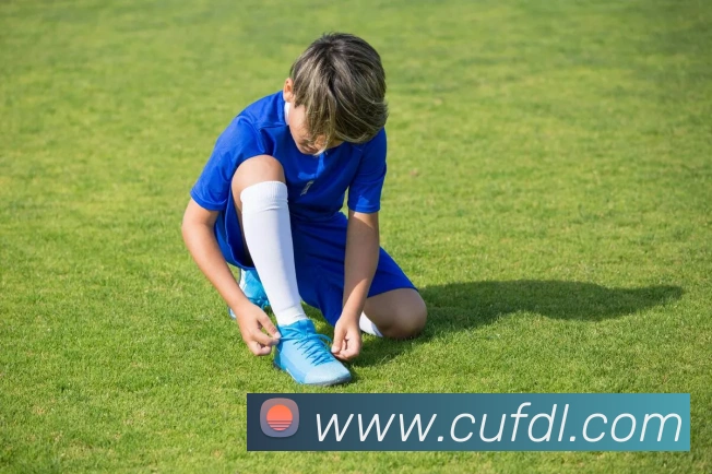 九游官网登录入口网页APP 封面图